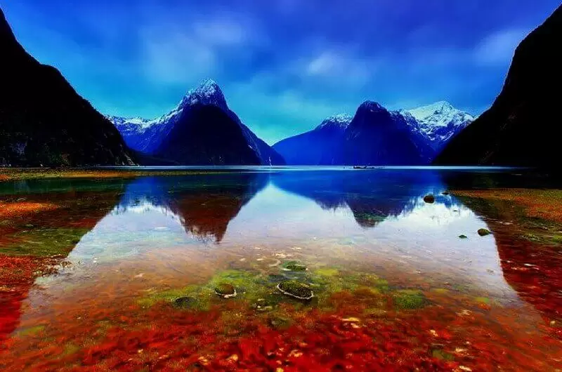 New Zealand Holiday Packages